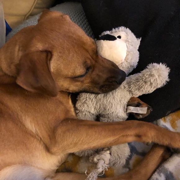 Meet your Posher, Jamie - Picture 1 of 1